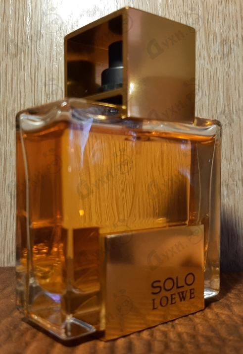 Парфюм Loewe Solo Absoluto Духи Solo Absoluto от Loewe