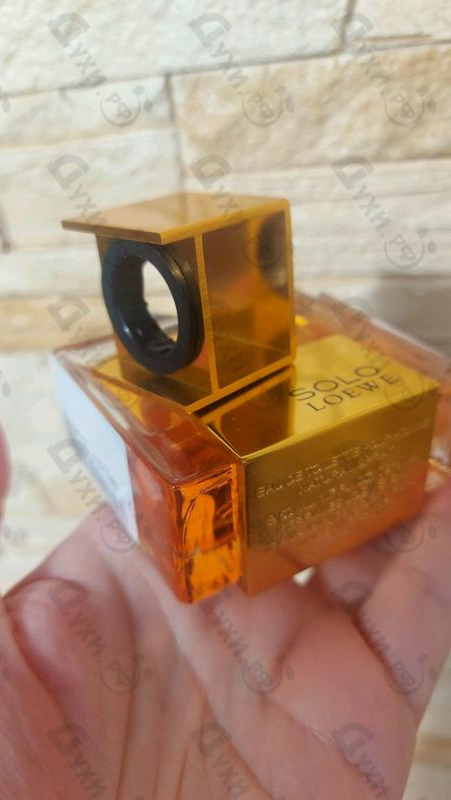 Купить Solo Absoluto от Loewe Купить Loewe Solo Absoluto