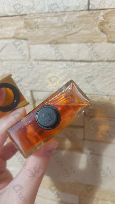 Парфюмерия Loewe Solo Absoluto Купить Solo Absoluto от Loewe