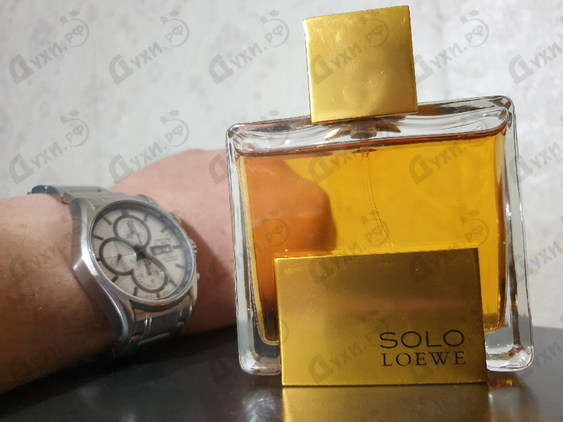 Парфюмерия Loewe Solo Absoluto Духи Solo Absoluto от Loewe