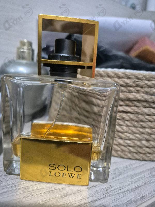 Купить Solo Absoluto от Loewe
