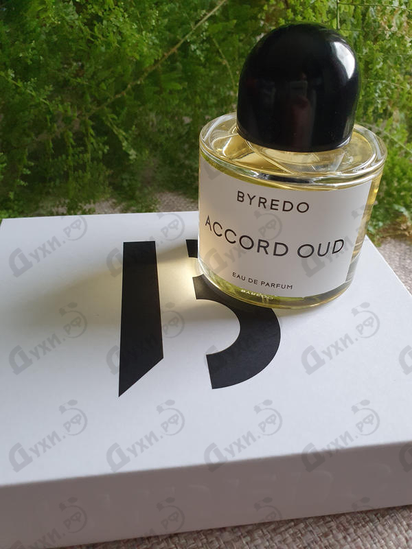Духи Accord Oud от Byredo Parfums Отзыв Byredo Parfums Accord Oud