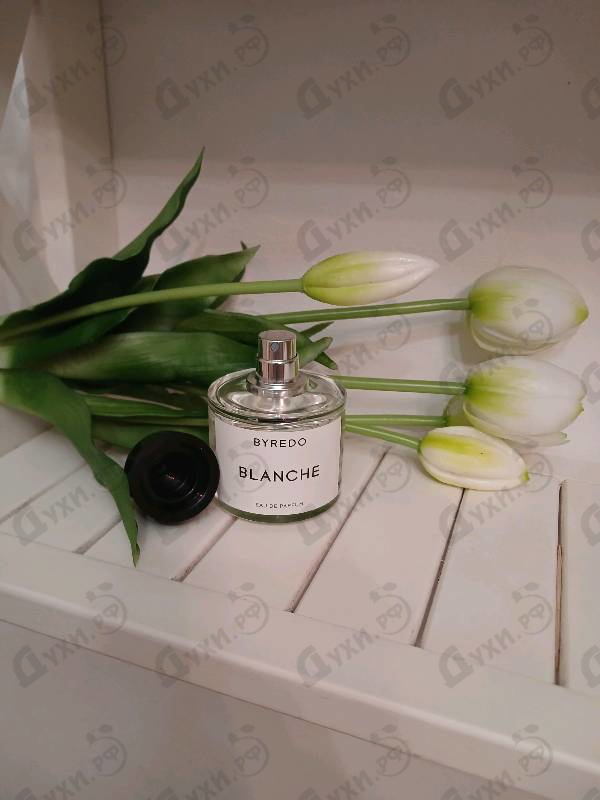 Парфюмерия Byredo Parfums Blanche