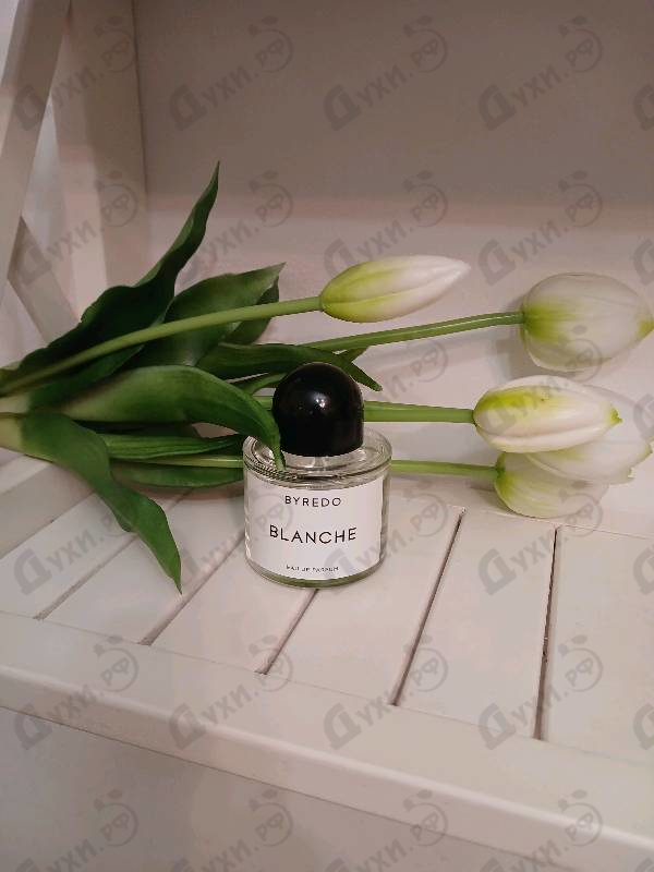 Духи Blanche от Byredo Parfums