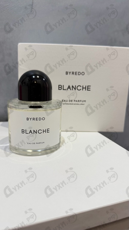 Купить Blanche от Byredo Parfums