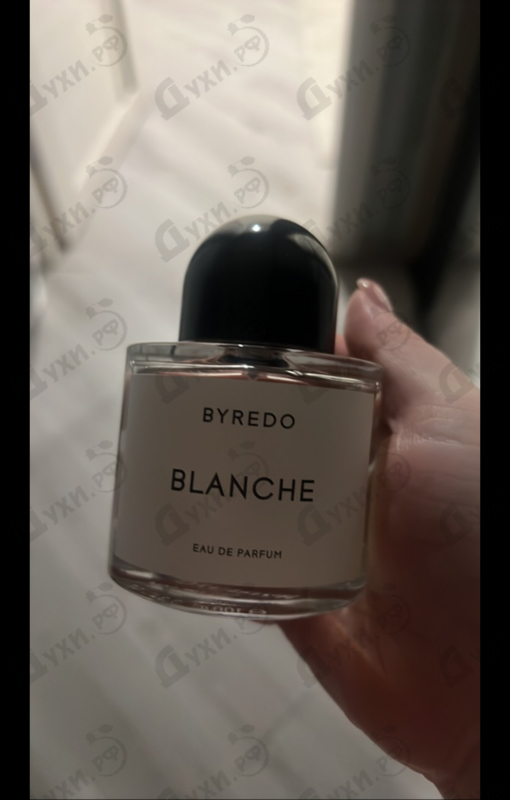 Купить Byredo Parfums Blanche