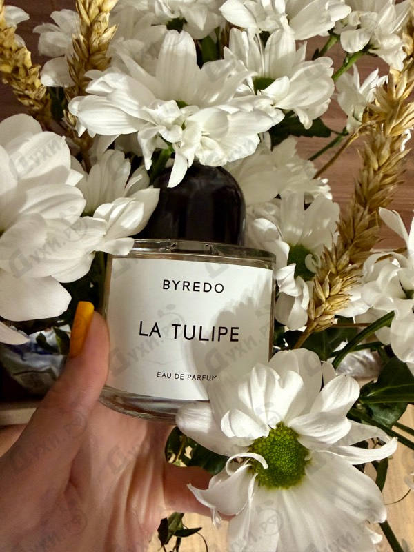 Духи La Tulipe от Byredo Parfums