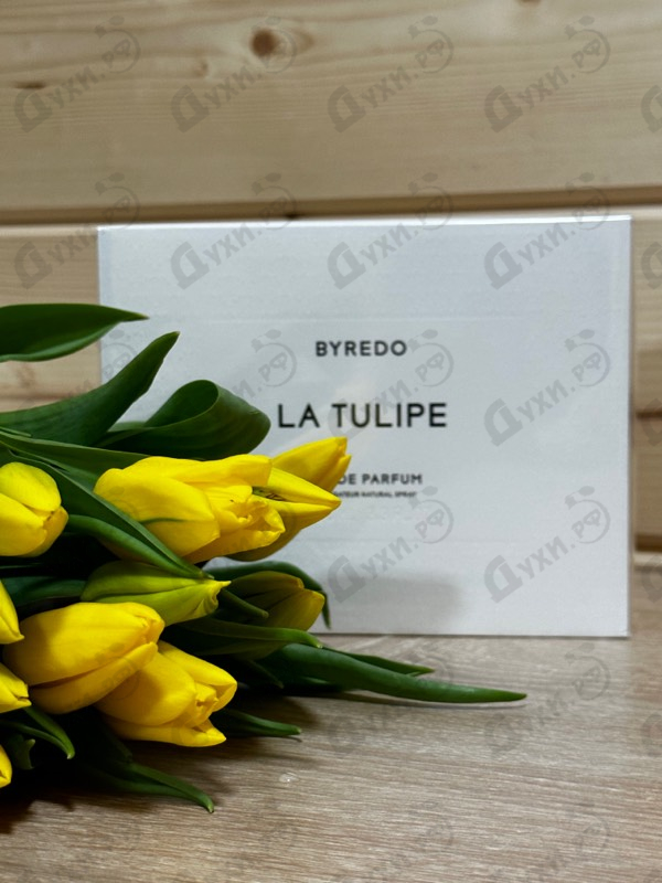 Парфюмерия La Tulipe от Byredo Parfums