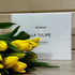 Духи Byredo Parfums La Tulipe Парфюмерия La Tulipe от Byredo Parfums