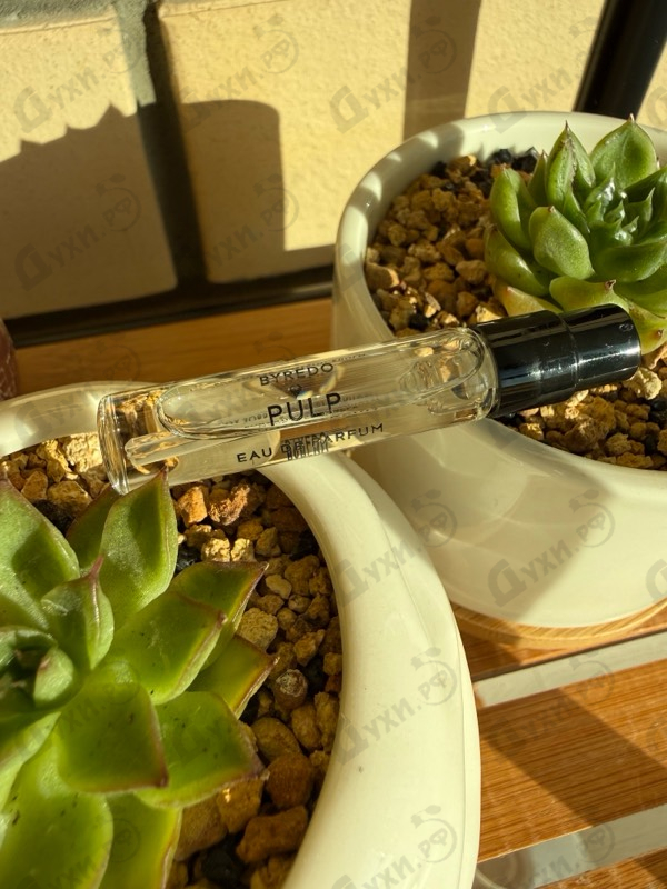 Купить Pulp от Byredo Parfums