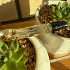 Отзывы Byredo Parfums Pulp