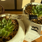 Отзыв Byredo Parfums Pulp