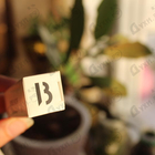 Отзыв Byredo Parfums Rose Noir