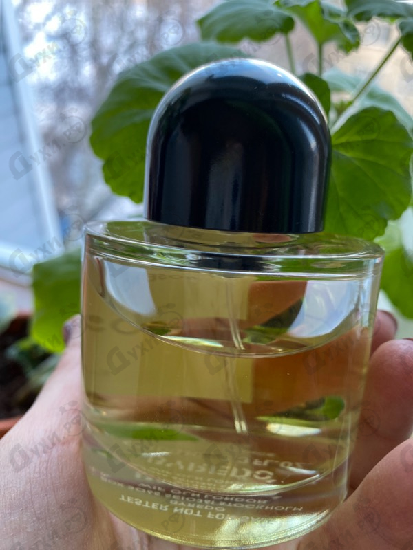 Купить Rose Noir от Byredo Parfums