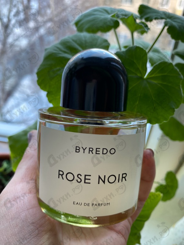 Купить Rose Noir от Byredo Parfums