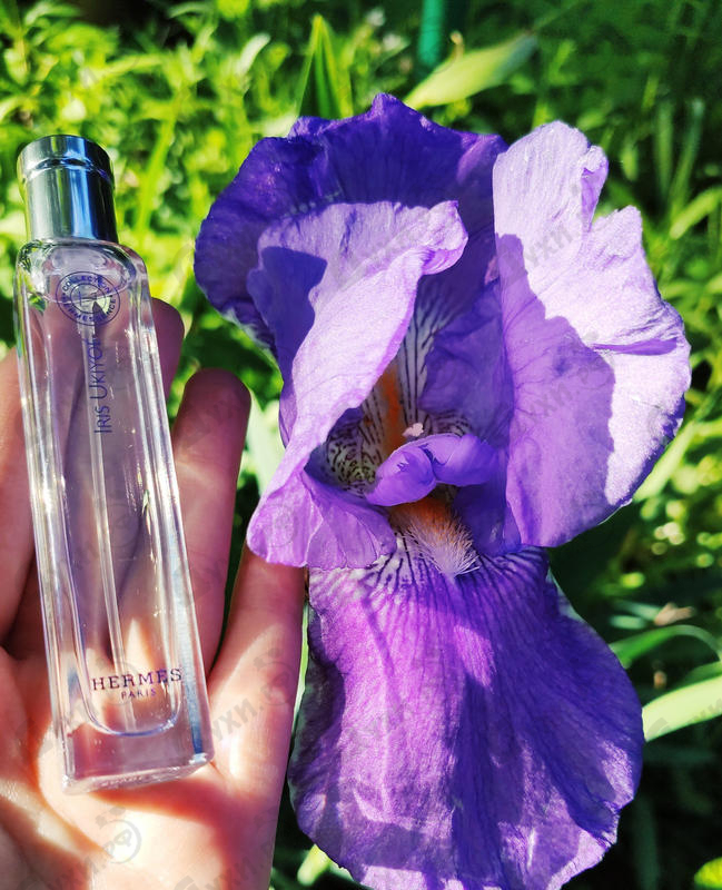 Купить Iris Ukiyoe от Hermes