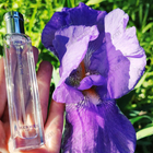 Отзыв Hermes Iris Ukiyoe