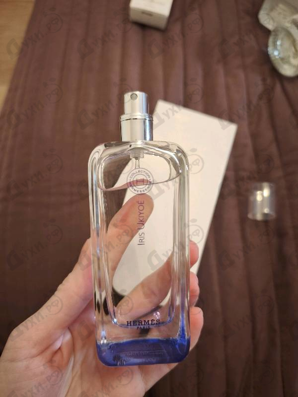Отзыв Hermes Iris Ukiyoe
