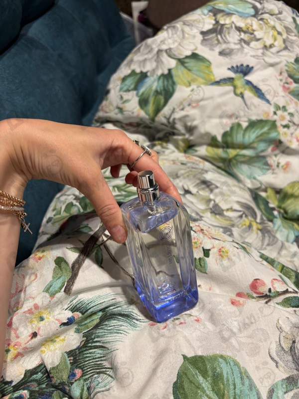 Купить Iris Ukiyoe от Hermes