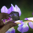 Духи Iris Ukiyoe от Hermes