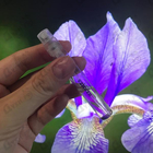 Отзывы Hermes Iris Ukiyoe