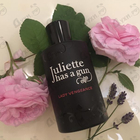 Отзыв Juliette Has A Gun Lady Vengeance