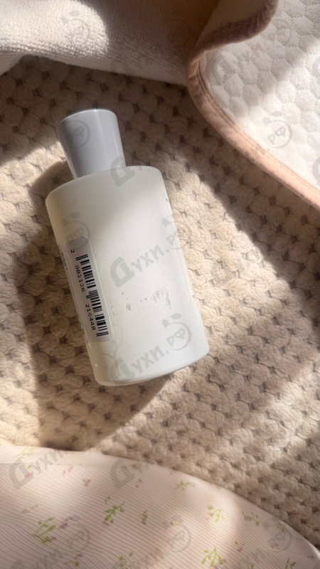 Купить Not A Perfume от Juliette Has A Gun