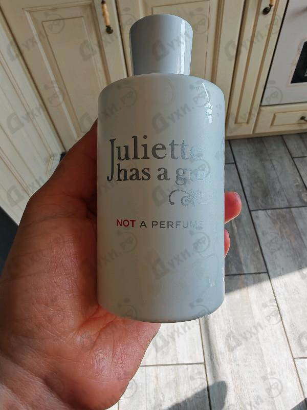 Парфюмерия Not A Perfume от Juliette Has A Gun