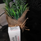 Парфюм Juliette Has A Gun Not A Perfume