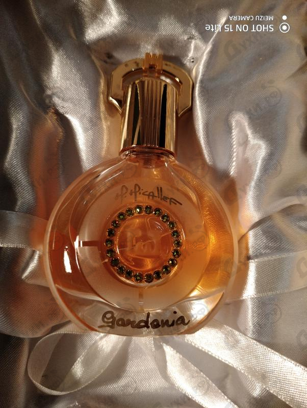 Купить Gardenia от Micallef Отзывы Micallef Gardenia