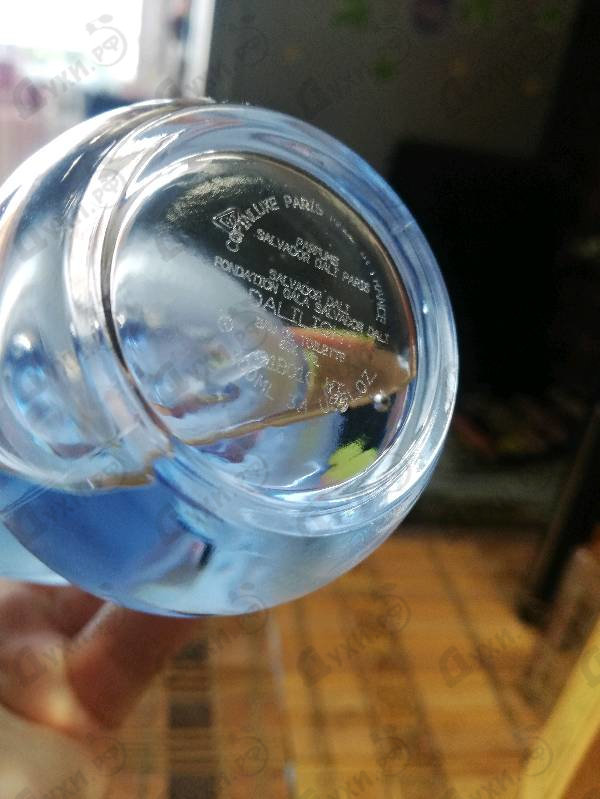 Купить Dalilight от Salvador Dali