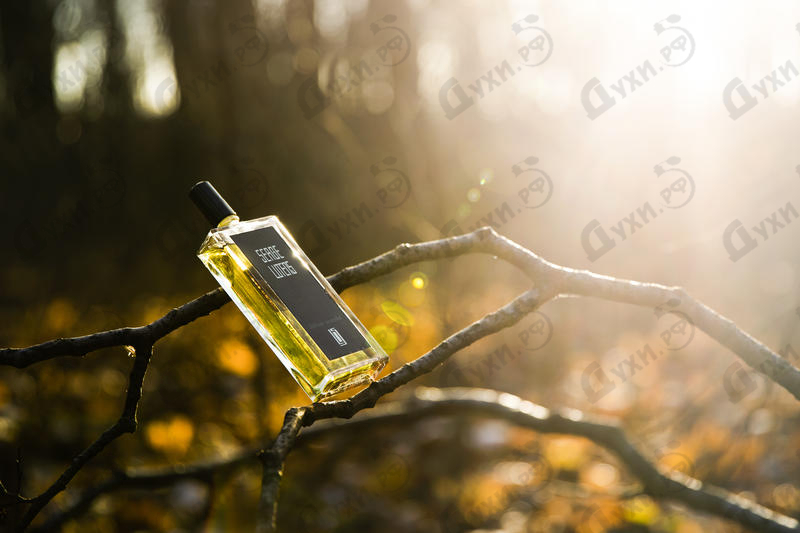 Парфюмерия Vetiver Oriental от Serge Lutens Отзывы Serge Lutens Vetiver Oriental