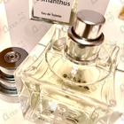 Отзывы The Different Company Osmanthus