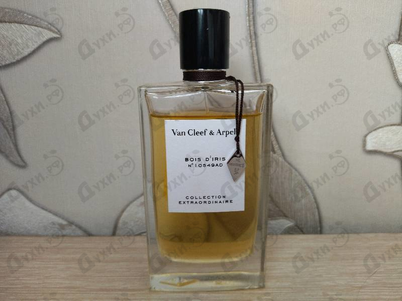 Купить Collection Extraordinaire Bois D'iris от Van Cleef & Arpels