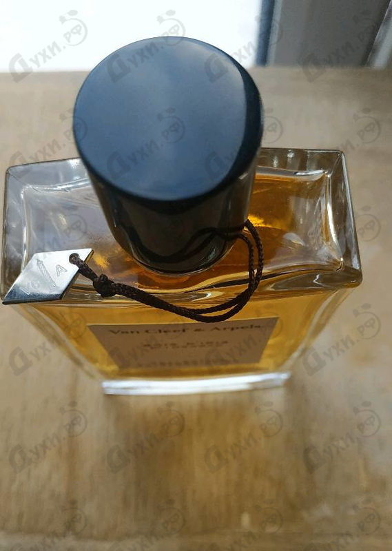 Купить Collection Extraordinaire Bois D'iris от Van Cleef & Arpels