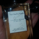 Отзыв Van Cleef & Arpels Collection Extraordinaire Gardenia Petale