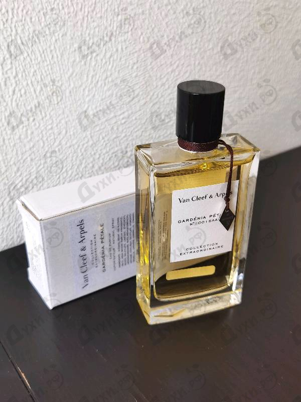 Купить Collection Extraordinaire Gardenia Petale от Van Cleef & Arpels Купить Van Cleef & Arpels Collection Extraordinaire Gardenia Petale