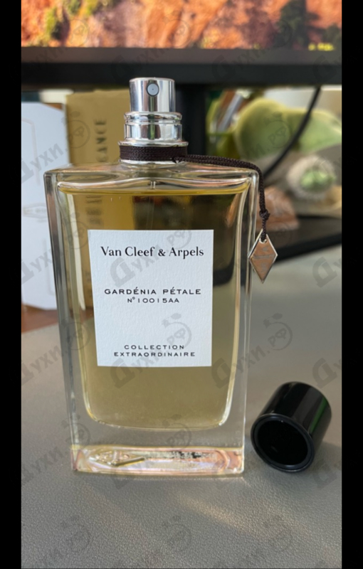 Купить Van Cleef & Arpels Collection Extraordinaire Gardenia Petale