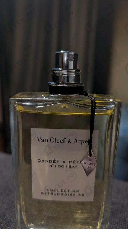 Купить Collection Extraordinaire Gardenia Petale от Van Cleef & Arpels