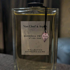 Отзывы Van Cleef & Arpels Collection Extraordinaire Gardenia Petale