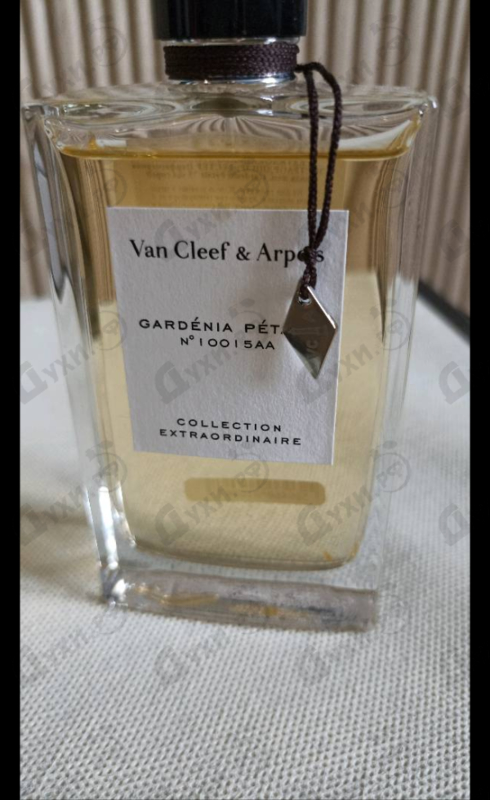 Духи Collection Extraordinaire Gardenia Petale от Van Cleef & Arpels