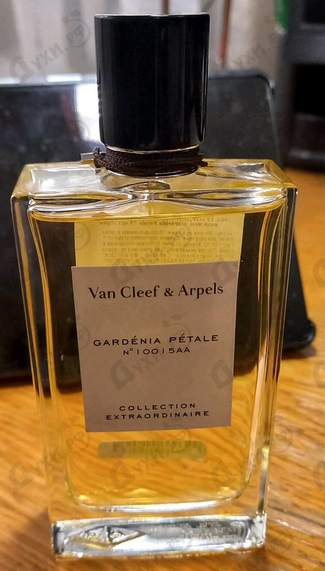 Купить Van Cleef & Arpels Collection Extraordinaire Gardenia Petale