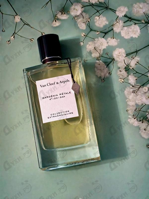 Духи Collection Extraordinaire Gardenia Petale от Van Cleef & Arpels