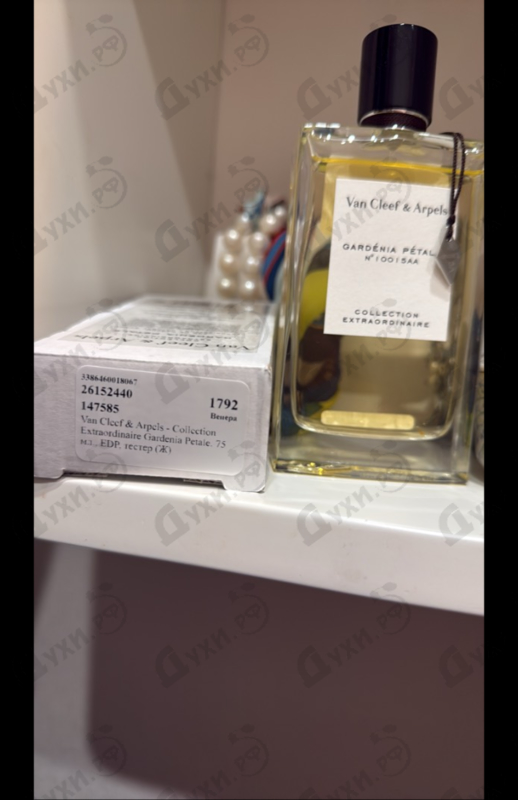 Отзыв Van Cleef & Arpels Collection Extraordinaire Gardenia Petale