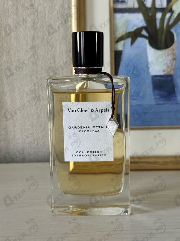 Купить Collection Extraordinaire Gardenia Petale от Van Cleef & Arpels