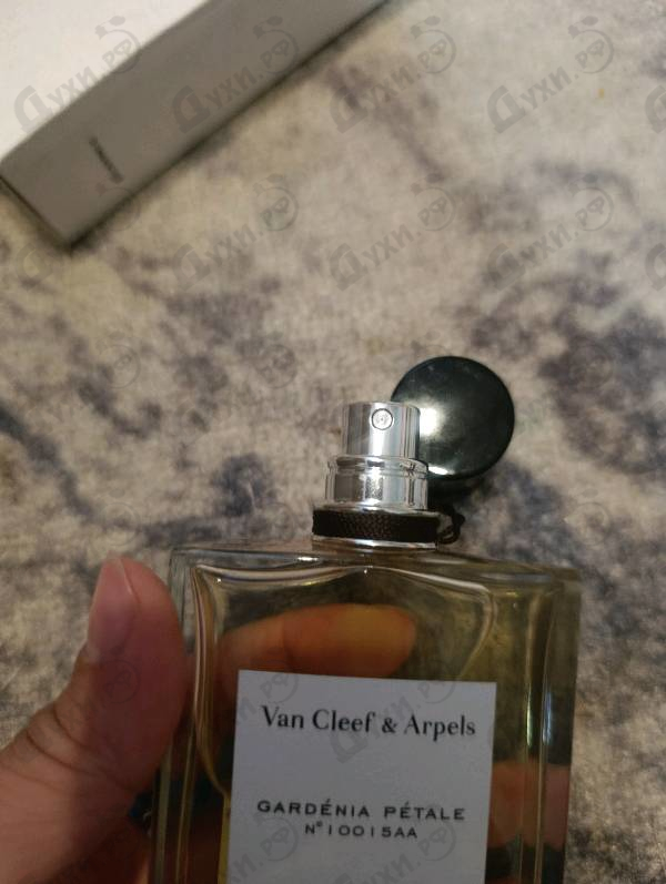 Купить Collection Extraordinaire Gardenia Petale от Van Cleef & Arpels