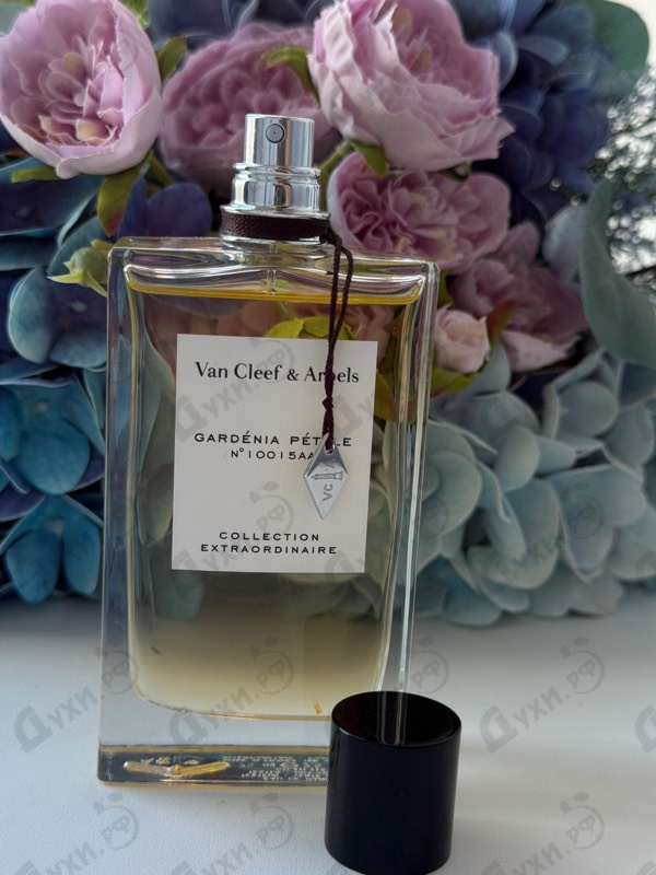 Отзывы Van Cleef & Arpels Collection Extraordinaire Gardenia Petale