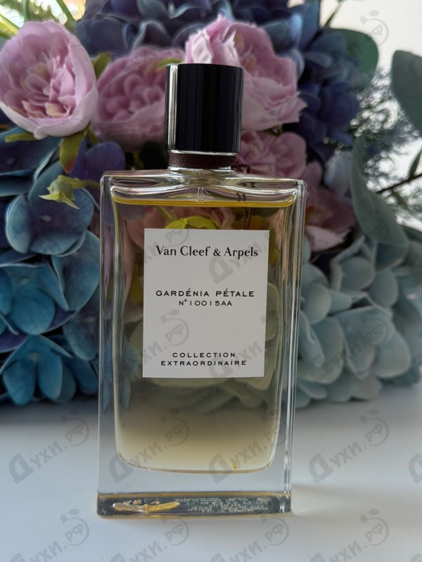 Купить Collection Extraordinaire Gardenia Petale от Van Cleef & Arpels