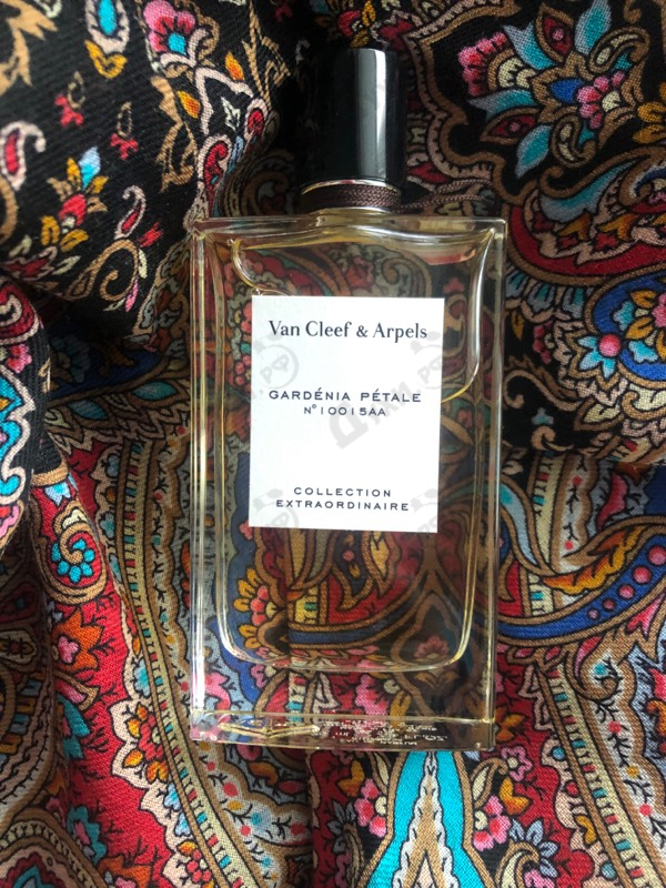 Парфюм Van Cleef & Arpels Collection Extraordinaire Gardenia Petale Парфюмерия Collection Extraordinaire Gardenia Petale от Van Cleef & Arpels