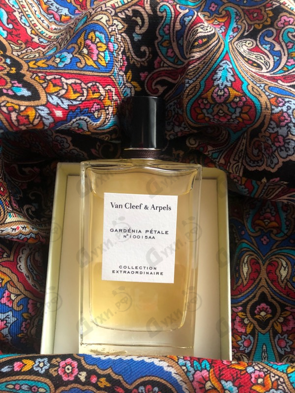 Отзыв Van Cleef & Arpels Collection Extraordinaire Gardenia Petale Парфюмерия Collection Extraordinaire Gardenia Petale от Van Cleef & Arpels